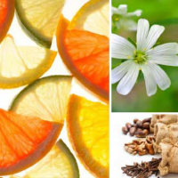 Citrus
