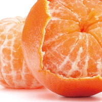 Mandarin Zest/マンダリン ゼスト
