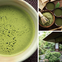 Matcha/抹茶