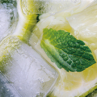 Mojito/モヒート