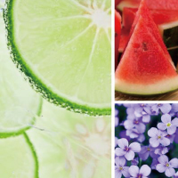 Sparkling Lime/スパークリング ライム