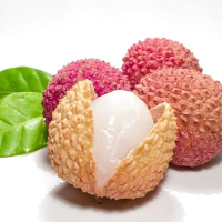 Sugar Lychee/シュガー ライチ