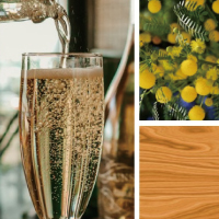 プレミアムプラン