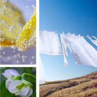 プライマリープラン