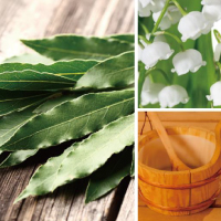 デザイナープラン