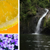 Water Fall/ウォーターフォール