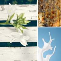 アンバーフローラル