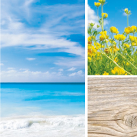 ウォータリーフローラル