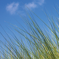 フレッシュアロマティック